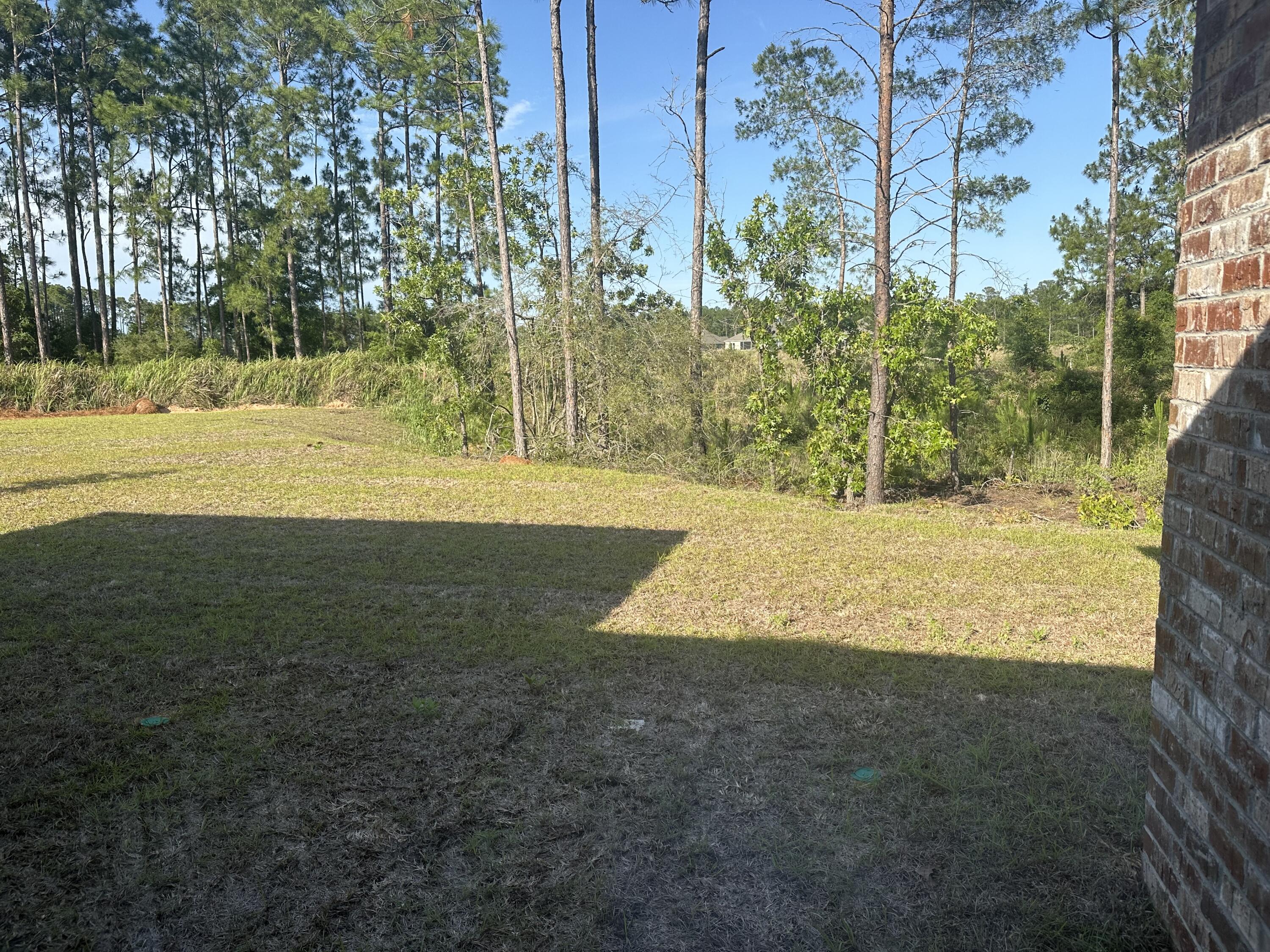 144 Bentgrass Road South Freeport, FL 32439 - Photo 7 of 8 a view of yard with tree
