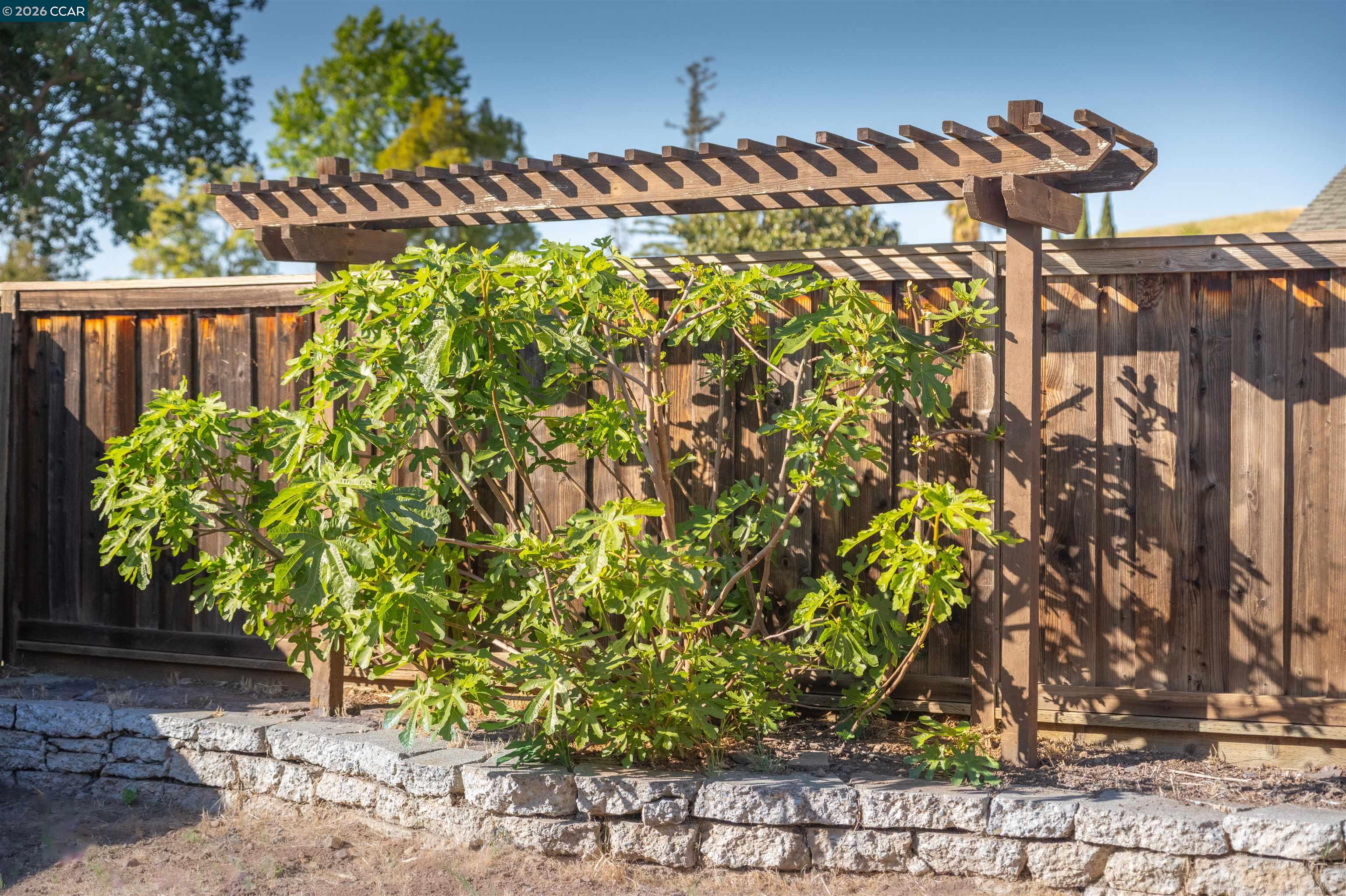 5581 Gonzalez Court Concord, CA 94521 - Photo 42 of 43 a view of a pathway with plants