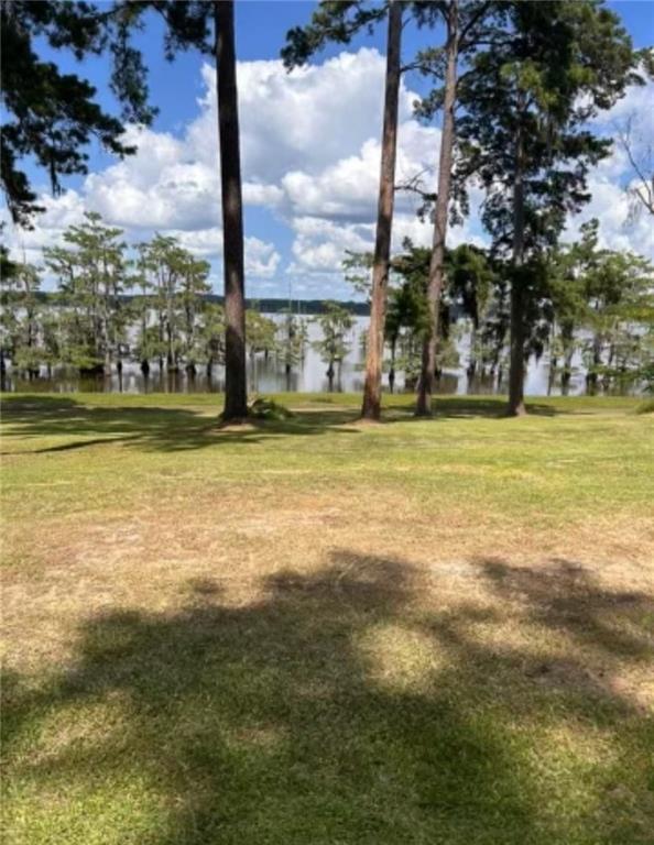 665 Pardee Road Campti, LA 71411 - Photo 2 of 16 Gallery Image 2