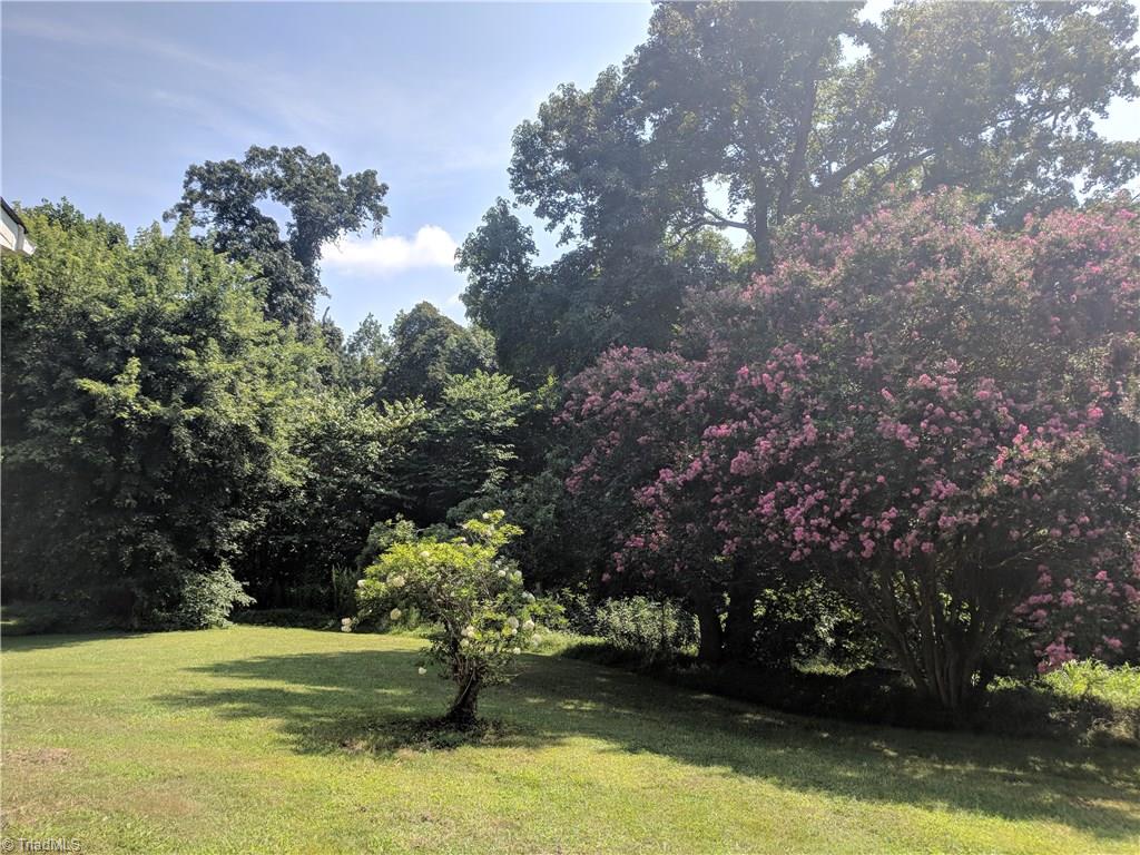 2049 Rierson Road Tobaccoville, NC 27050 - Photo 4 of 17