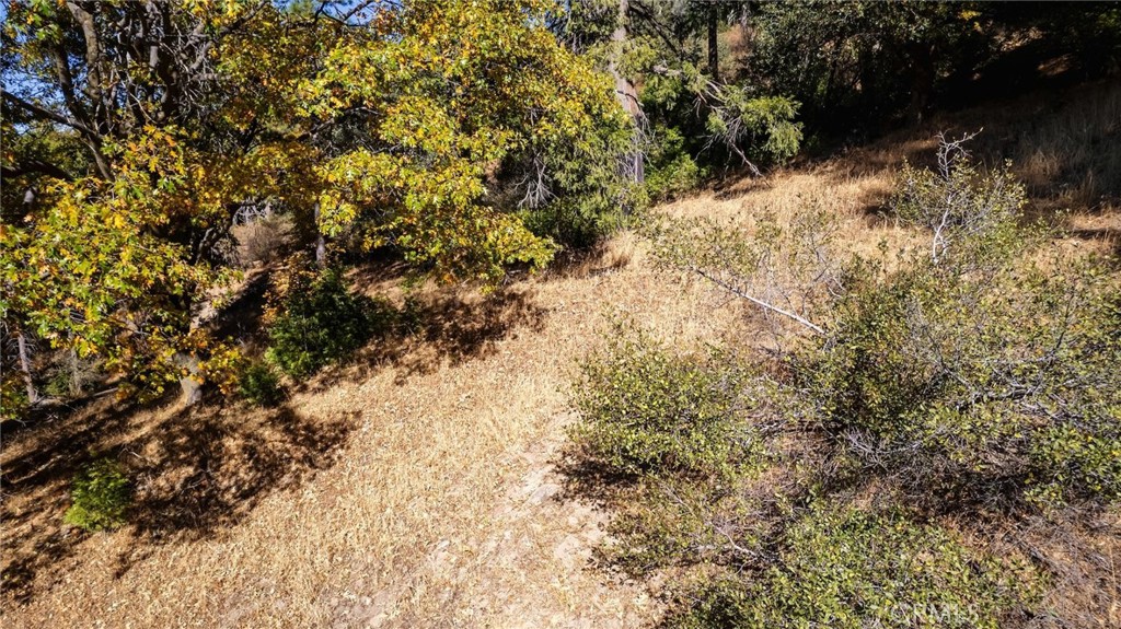 0 Mojave Road Cedarpines Park, CA 92322 - Photo 7 of 41