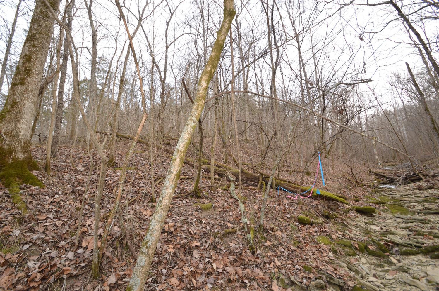 1290 Dennis Road, Unit 3 Lawrenceburg, KY 40342 - Photo 40 of 76 Photo 40