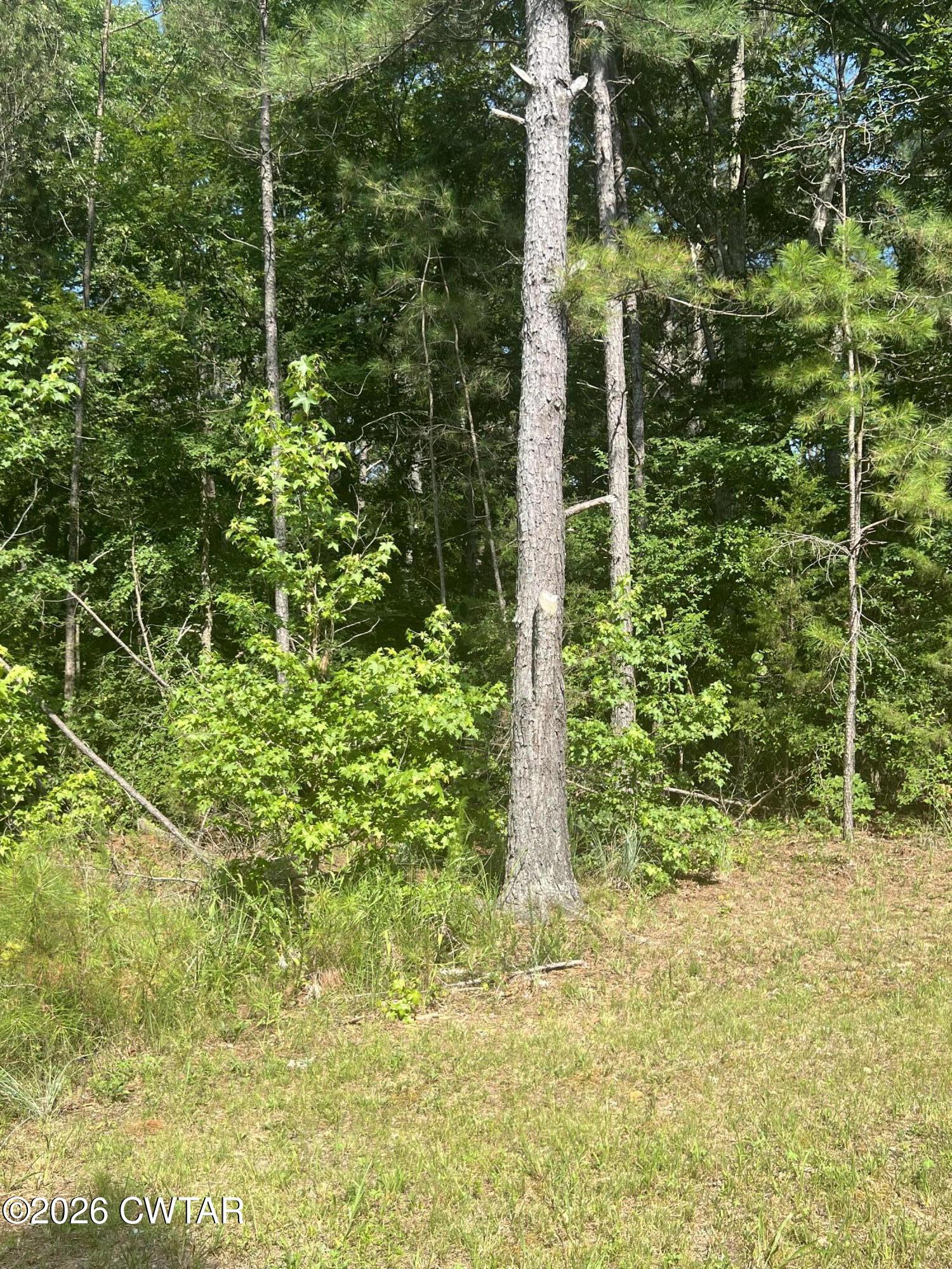 0 Old Hart Road Lexington, TN 38351 - Photo 2 of 2 IMG_1861