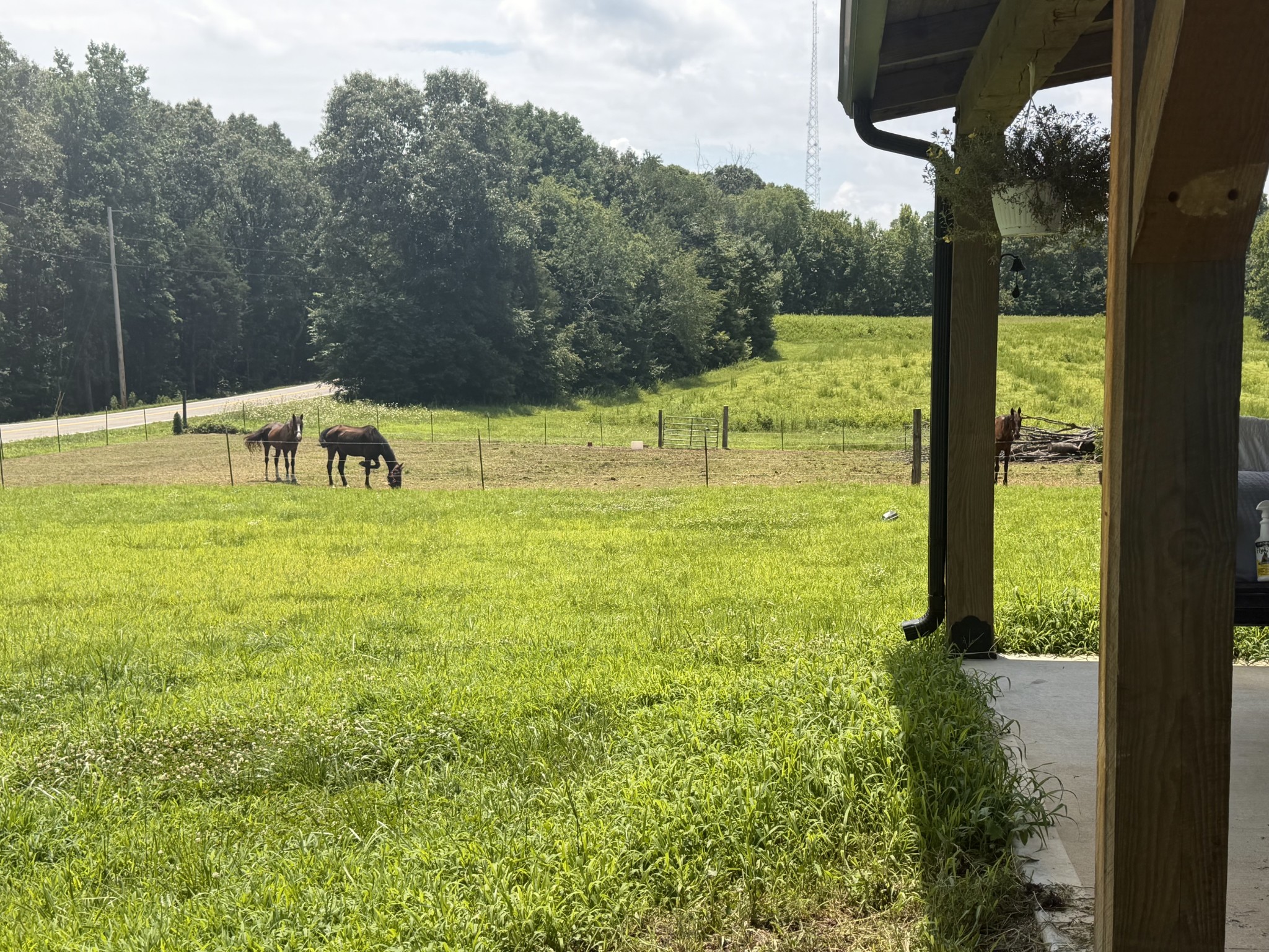 181 Hayes Ridge Road Indian Mound, TN 37079 - Photo 30 of 35