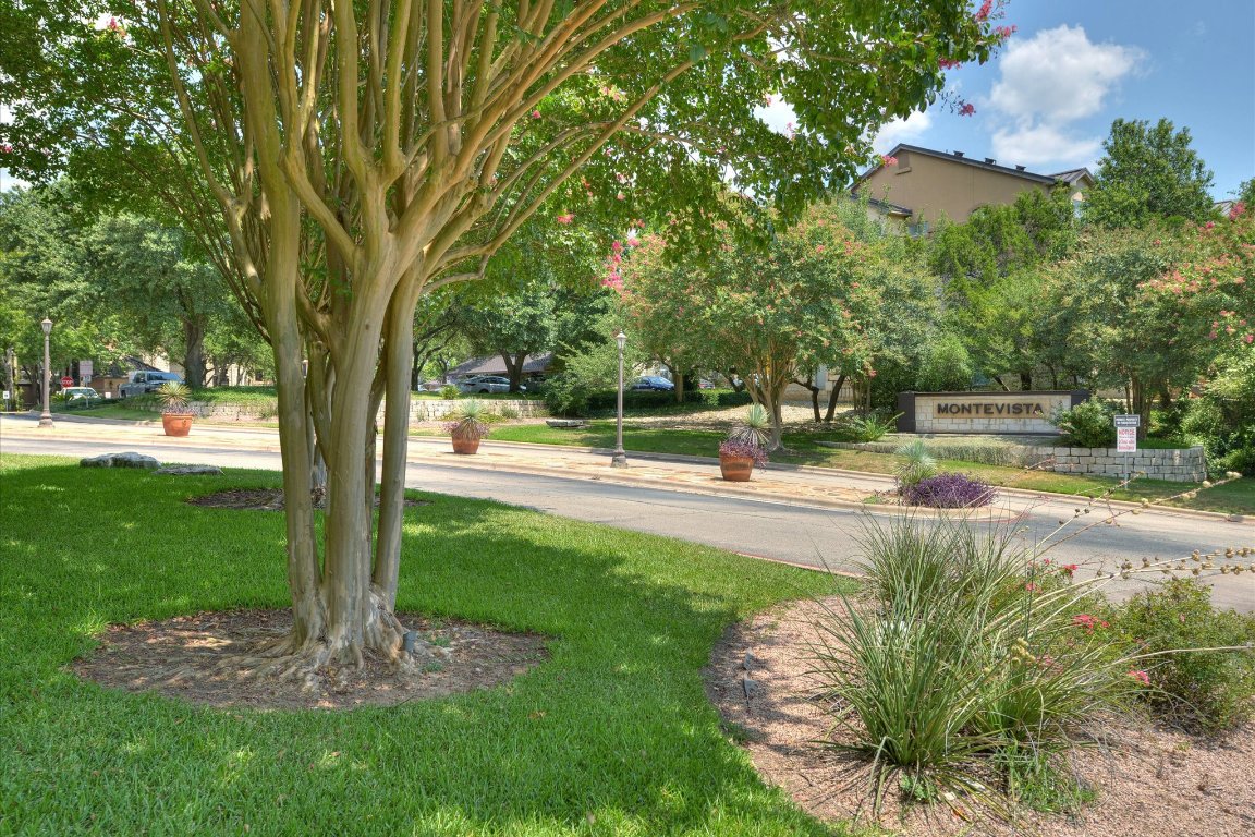 6000 Shepherd Mountain Cove, Unit 1805 Austin, TX 78730 - Photo 13 of 20 a view of a park with large trees