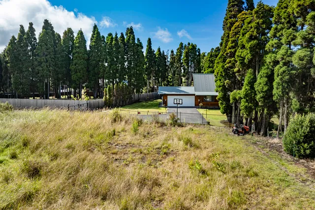 a view of a yard with an trees