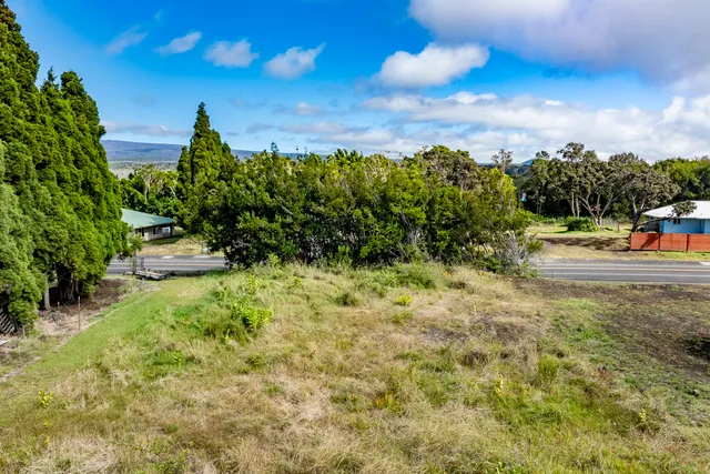 a view of a garden from a yard