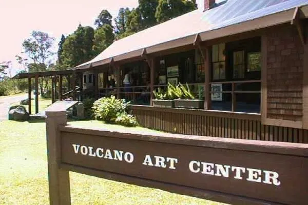 a view of a garden with an outdoor space