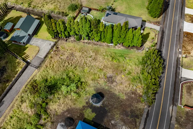 a view of a yard with some plants