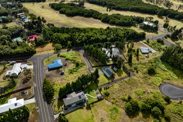 a view of a garden with plants