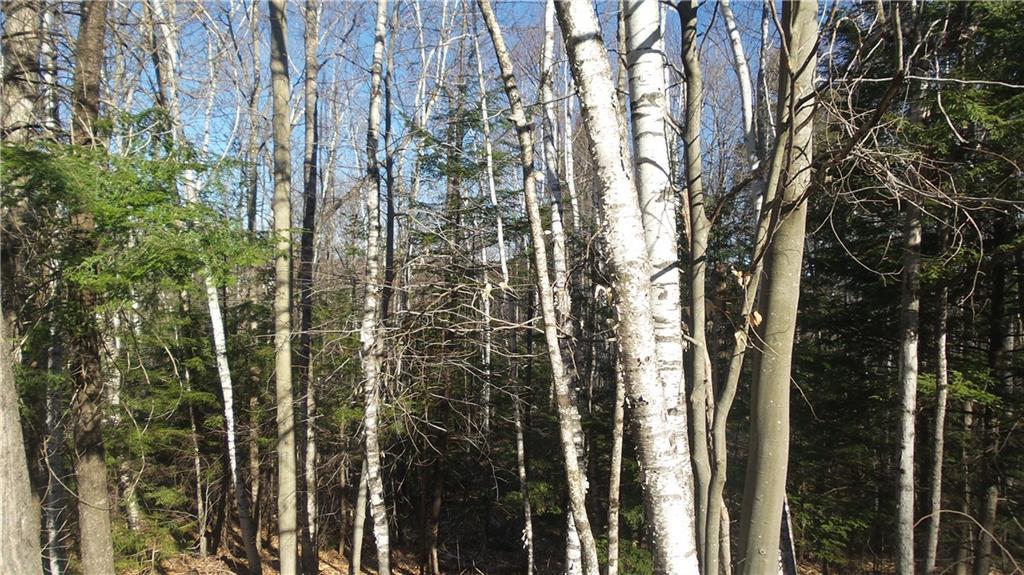 205 Garland Road West Newfield, ME 04095 - Photo 7 of 28 Photo