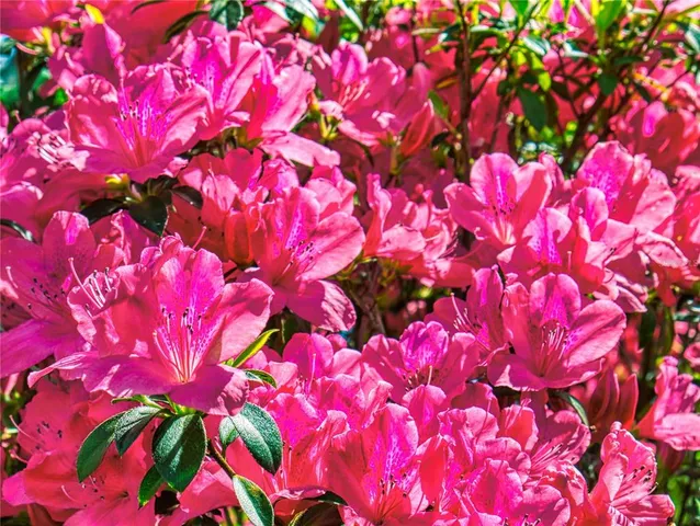 $649,900 | 7699 Northwest 56th Place, Ocala, FL 34482