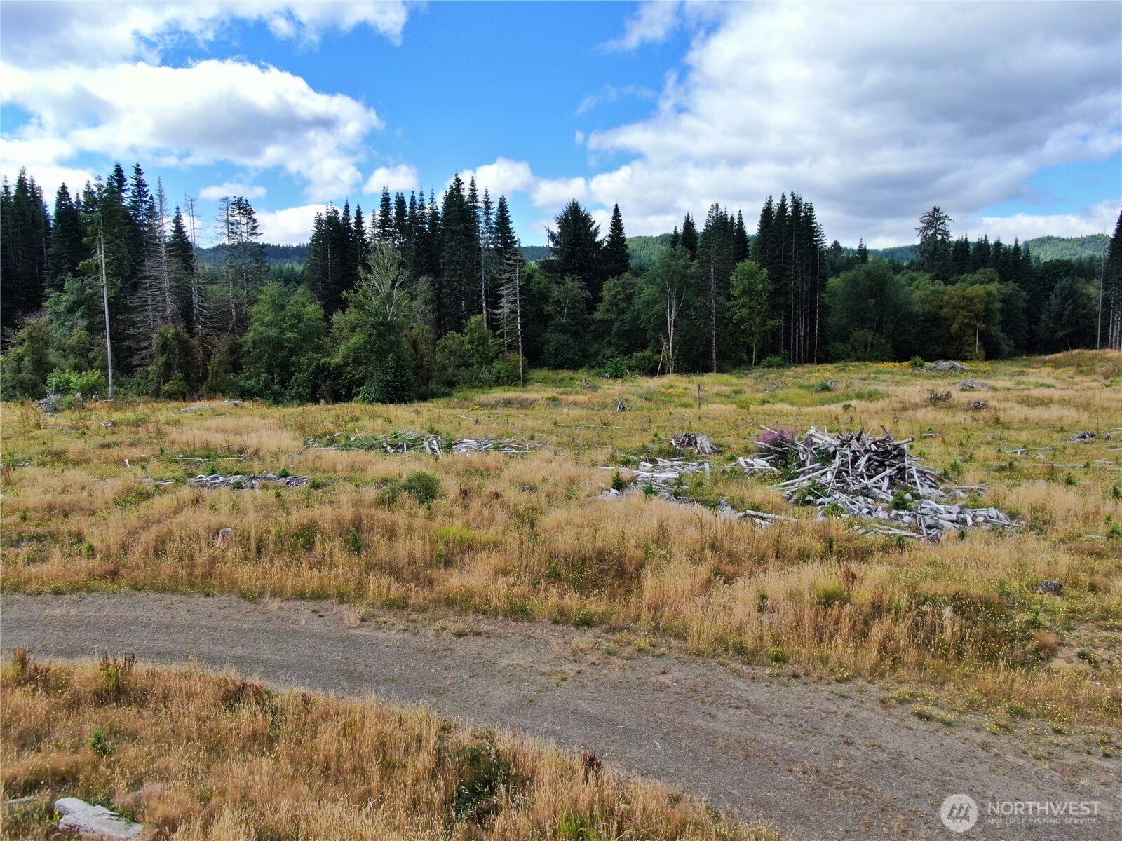 -nka North River Road Cosmopolis, WA 98537 - Photo 2 of 16 Gallery Image 2