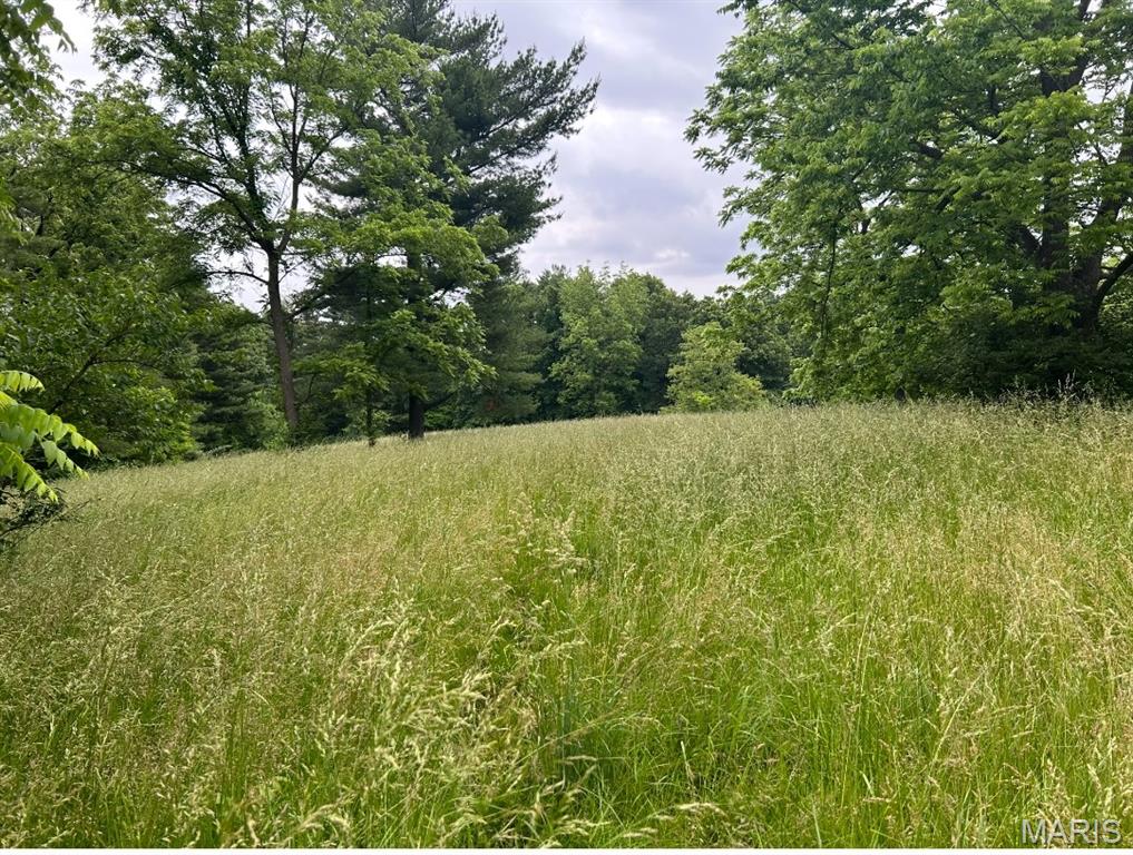 15308 Liberty Ridge Road Grafton, IL 62037 - Photo 10 of 10