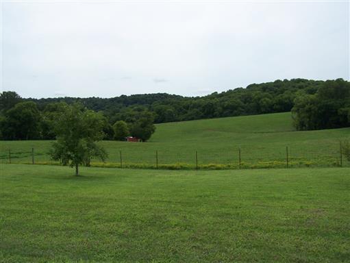 3268 Clear Creek Road Pulaski, TN 38478 - Photo 11 of 27 Fenced