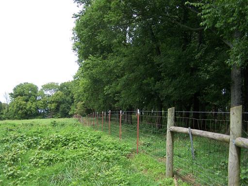 3268 Clear Creek Road Pulaski, TN 38478 - Photo 12 of 27 And Cross Fenced