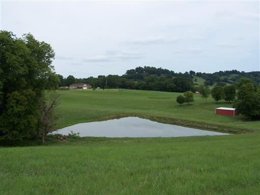 3268 Clear Creek Road Pulaski, TN 38478 - Photo 13 of 27 Natural Water Sources for Livestock