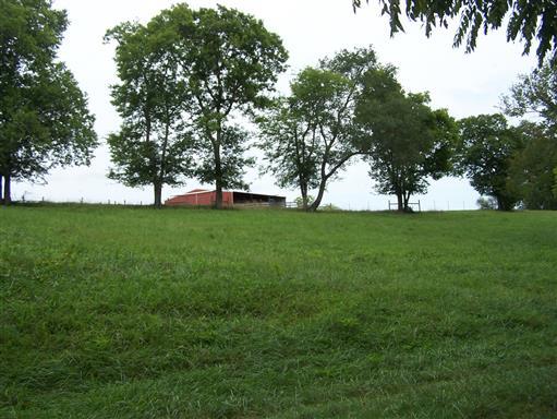 3268 Clear Creek Road Pulaski, TN 38478 - Photo 14 of 27 AND AMPLE IMPROVEMENTS INCLUDING 8 STALL METAL BARN WITH WATER AND ELECTRICITY...