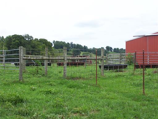 3268 Clear Creek Road Pulaski, TN 38478 - Photo 16 of 27 And Cattle Corrals