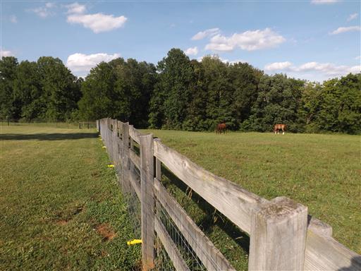 3268 Clear Creek Road Pulaski, TN 38478 - Photo 17 of 27 More Fences everywhere you turn