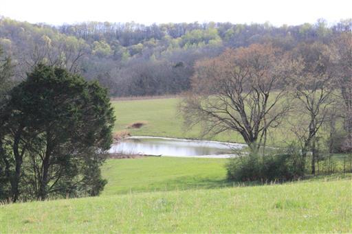 3268 Clear Creek Road Pulaski, TN 38478 - Photo 20 of 27 Pond 1 of 2