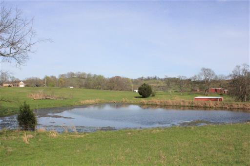 3268 Clear Creek Road Pulaski, TN 38478 - Photo 21 of 27 Pond 2 of 2