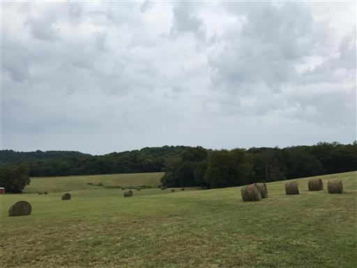 3268 Clear Creek Road Pulaski, TN 38478 - Photo 23 of 27 Plenty of Hay in the Barn. Bring the Horses and family.The rest is here and ready for move in.
