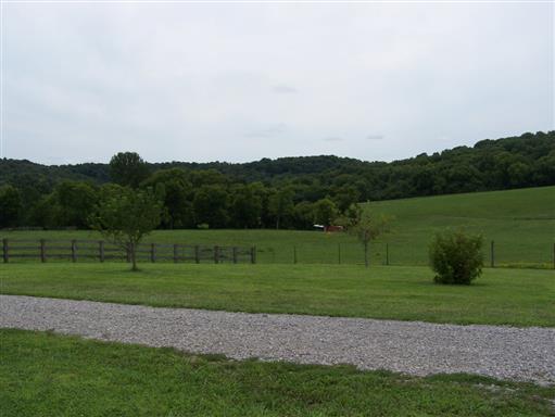 3268 Clear Creek Road Pulaski, TN 38478 - Photo 9 of 27 Front Yard View