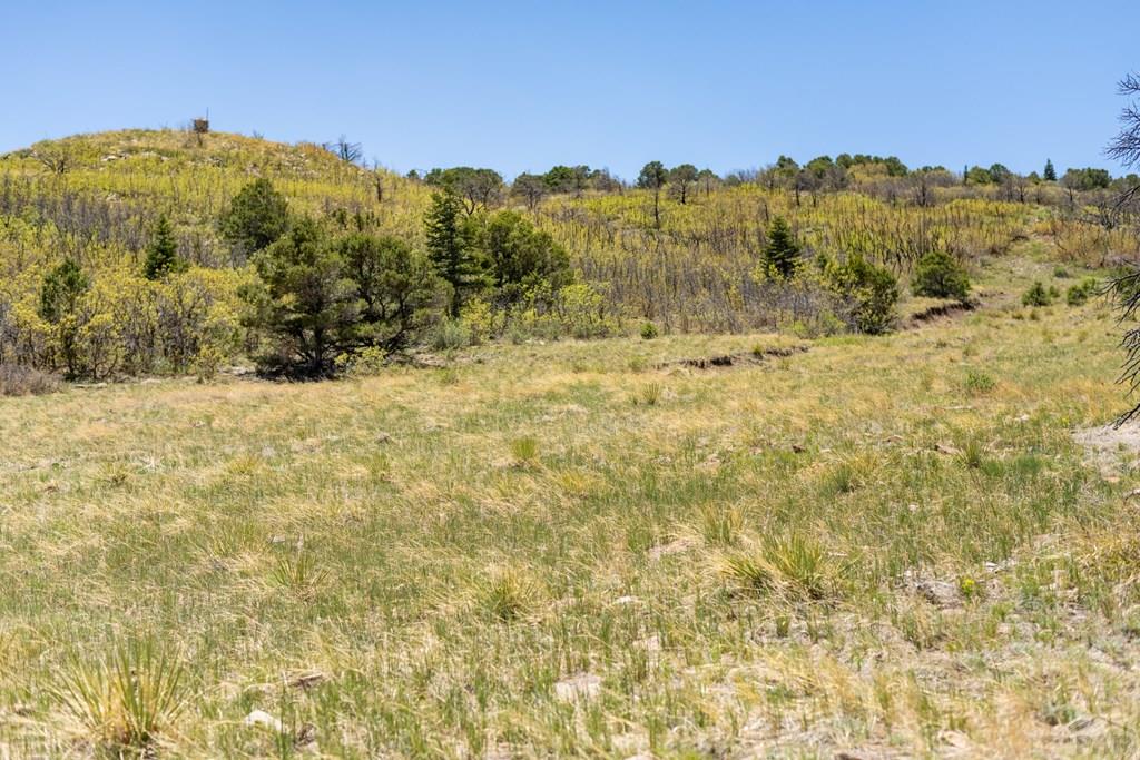 Lot 25 Majors Ranch Walsenburg, CO 81089 - Photo 30 of 34