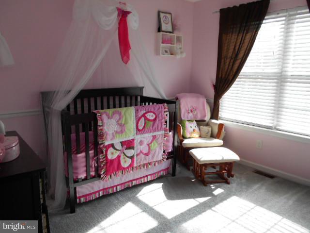 101 Mason Runn Lane Rising Sun, MD 21911 - Photo 17 of 30 Bedroom