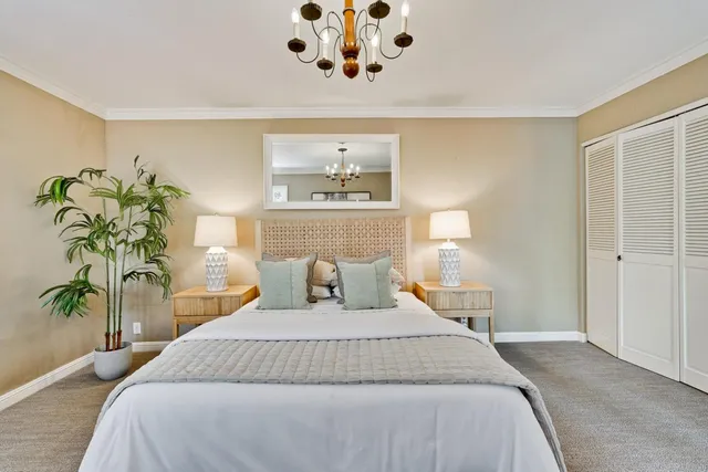 a bedroom with a large bed and a potted plant