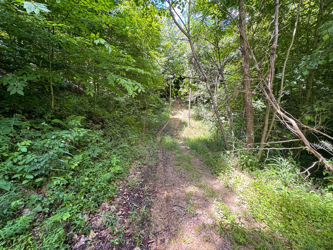 4313 Flint Ridge Road Northeast, Unit INT RIDGE TRACT 18 ACRE) Crooksville, OH 43731 - Photo 17 of 53 CT-17