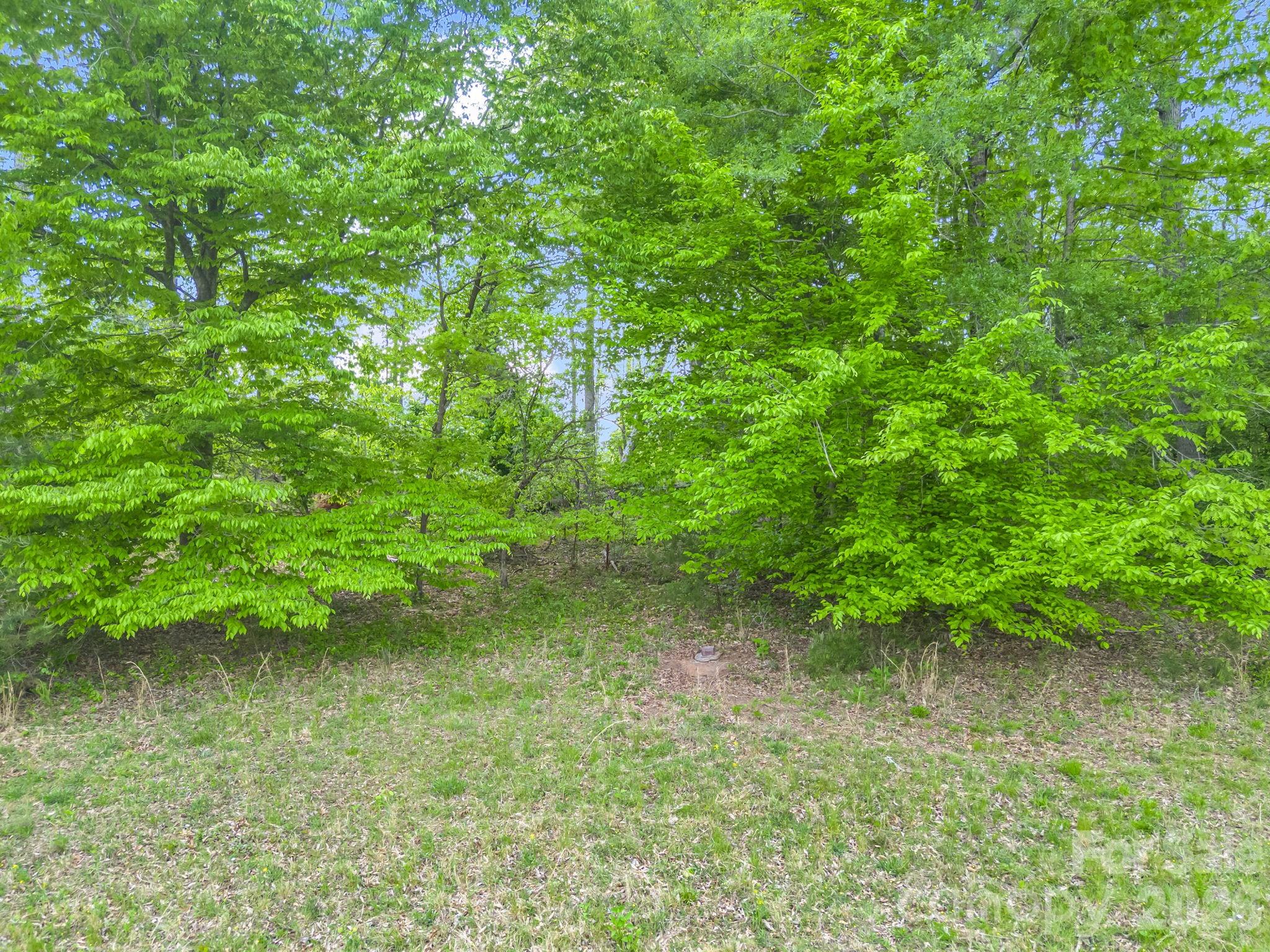 0 Smith Grove Road Forest City, NC 28043 - Photo 5 of 19