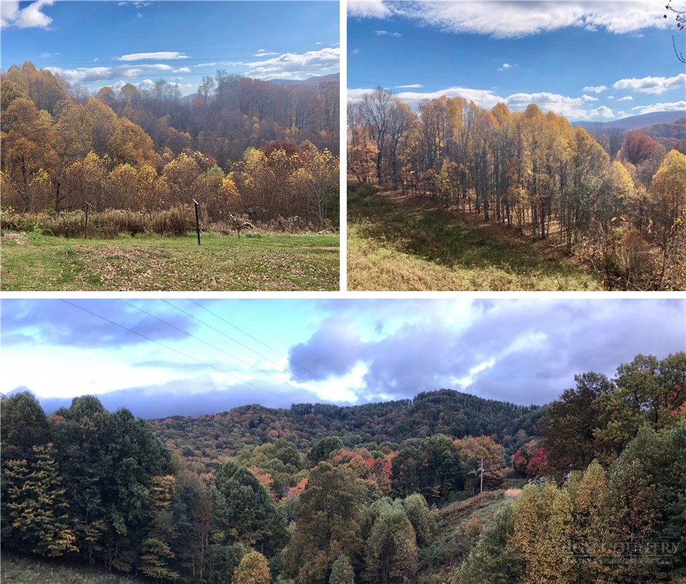 a view of a lake in middle of the forest
