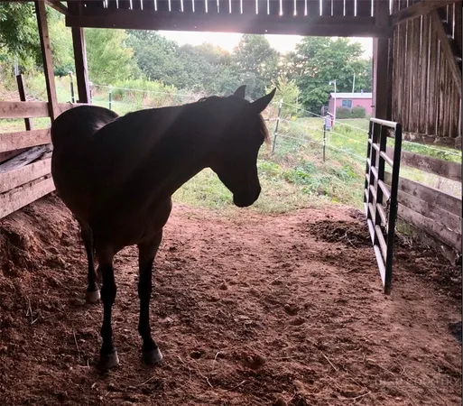 $375,000 | 244 Flat Springs Road, Elk Park, NC 28622