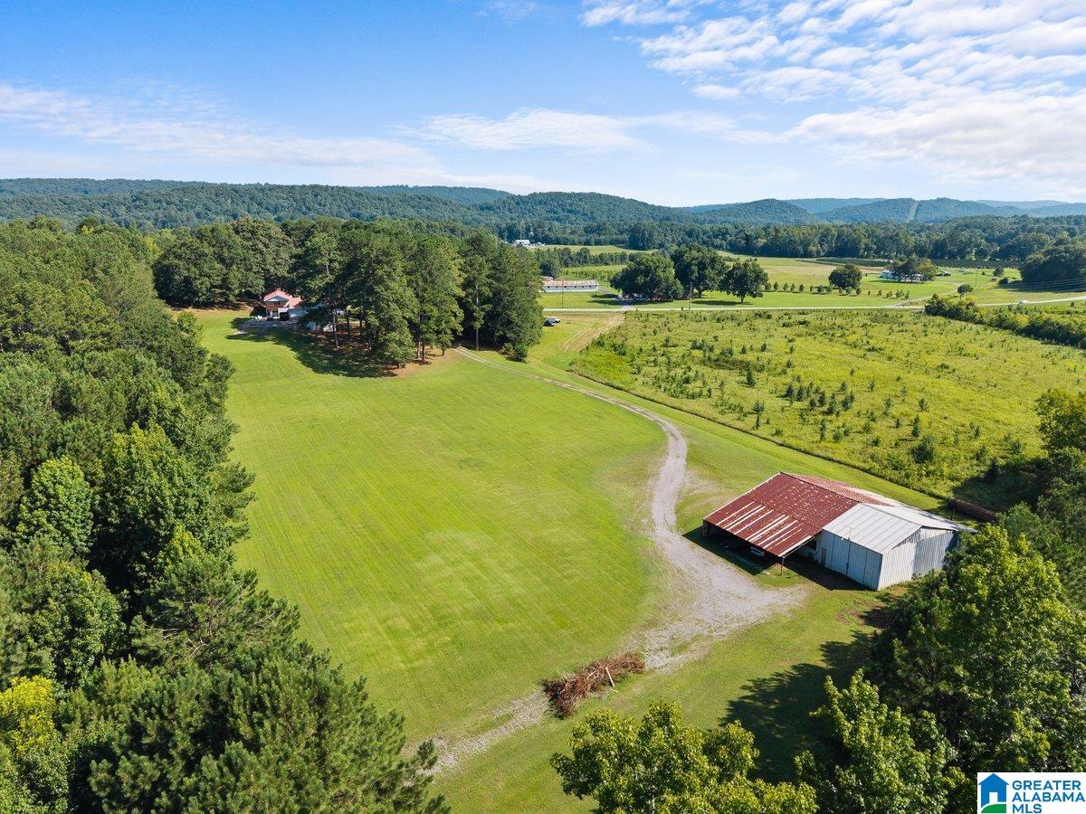1120 Valley Road Oneonta, AL 35121 - Photo 16 of 32 Gallery Image 16