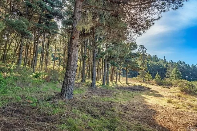 a view of a yard with a lake view
