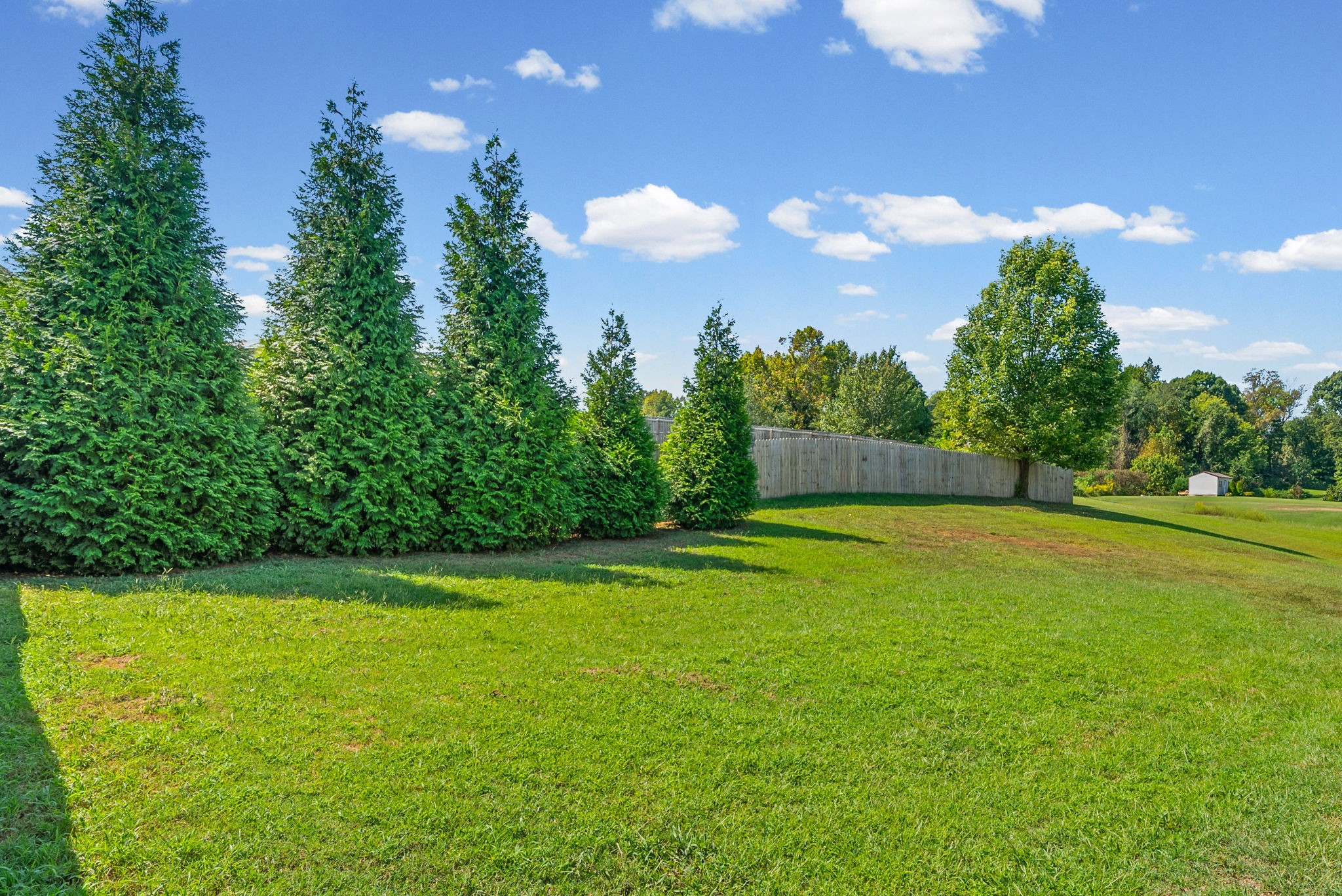 3540 Drake Road Adams, TN 37010 - Photo 33 of 38 Gallery Image 33