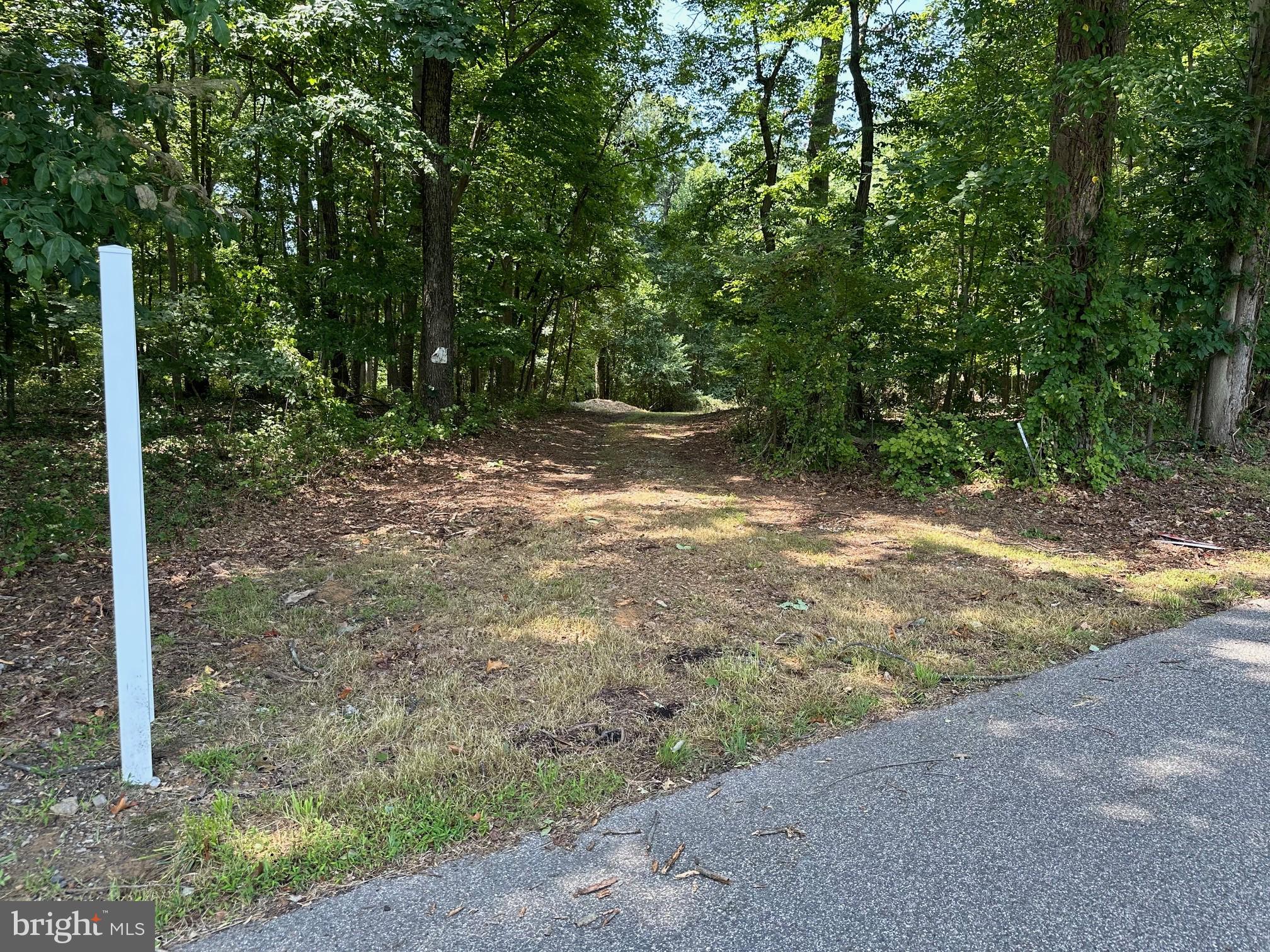 16418 Cedar Grove Road Sparks, MD 21152 - Photo 2 of 10 a view of a yard with plants and trees