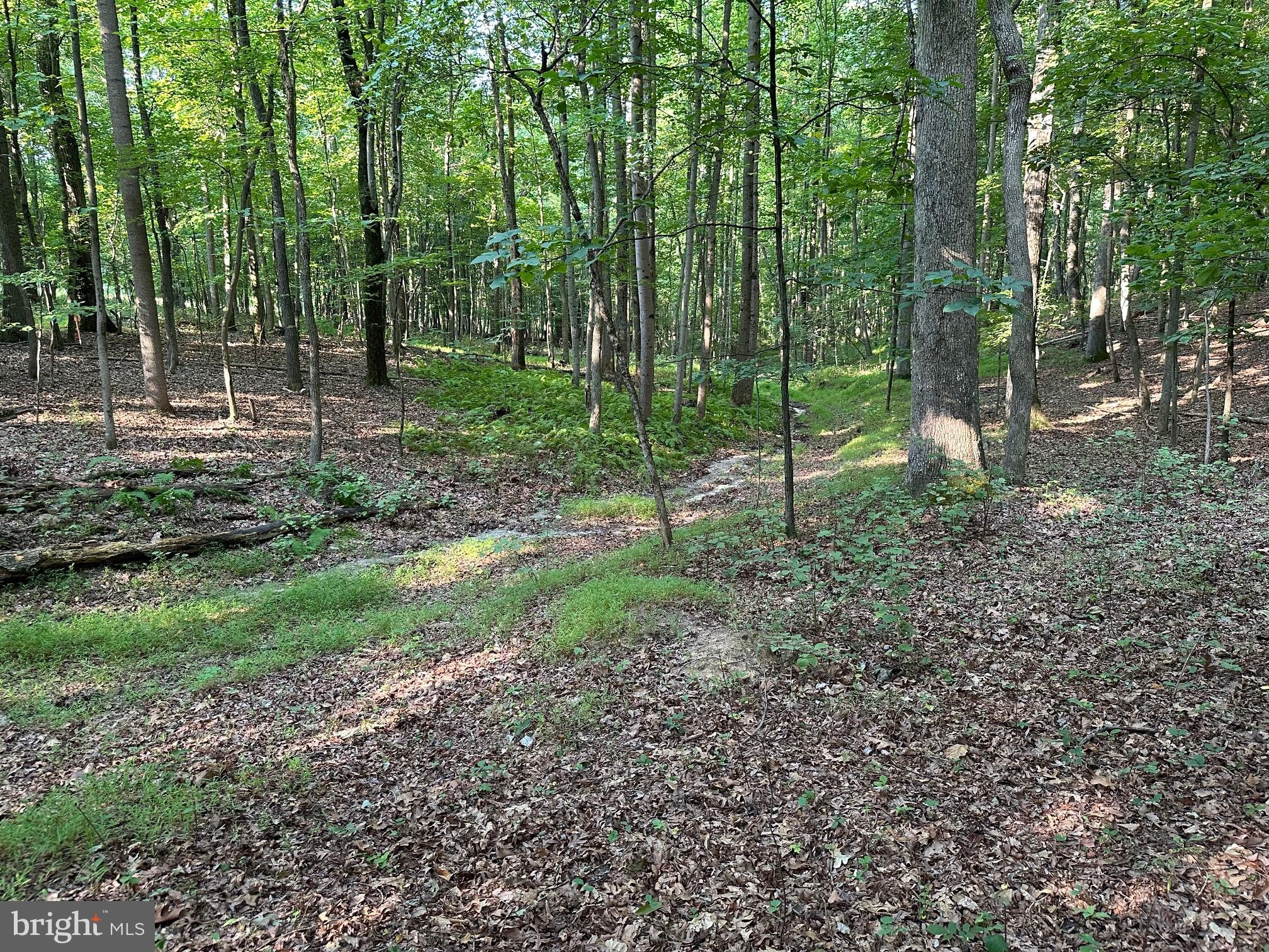 16418 Cedar Grove Road Sparks, MD 21152 - Photo 5 of 10 a view of a park with trees