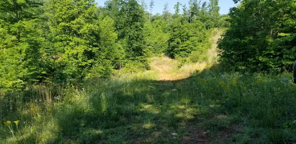 $60,000 | 0 Indian Summer Lane, Ferrum, VA 24088