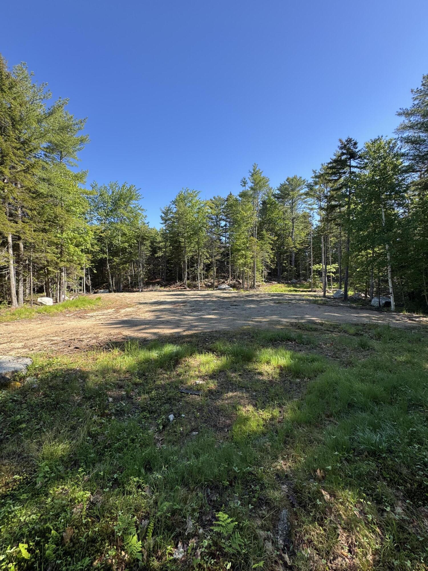 539 Sedgwick Ridge Road Sedgwick, ME 04676 - Photo 4 of 13