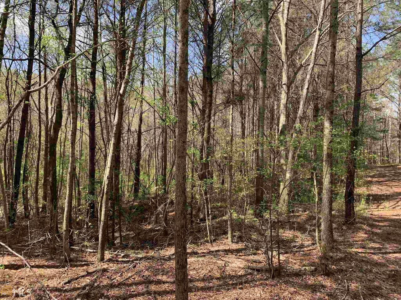 1833 Rocky Creek Road Hampton, GA 30228 - Photo 1 of 1 Gallery Image 1