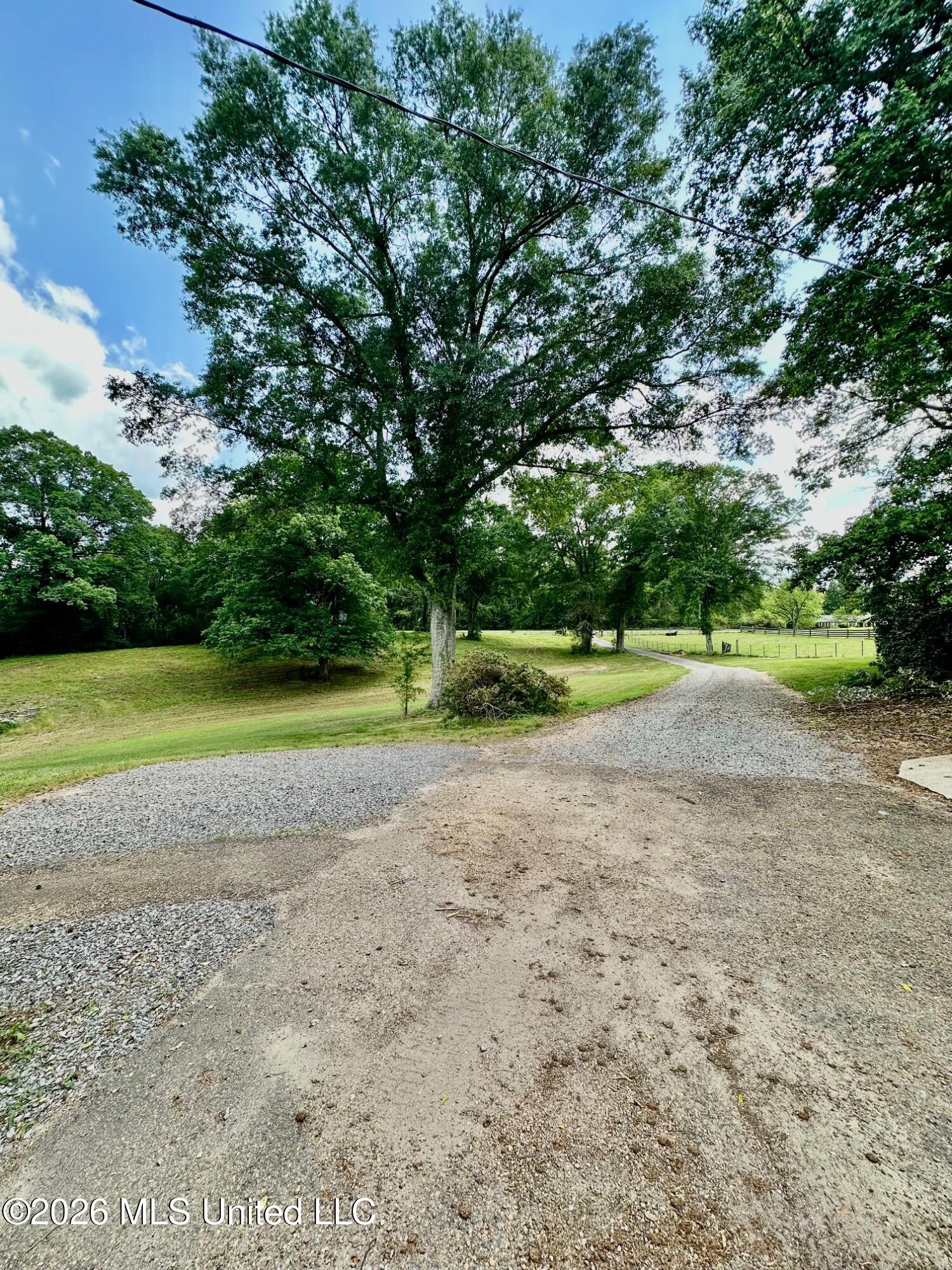 3115 River Ridge Road Summit, MS 39666 - Photo 26 of 29 IMG_2684 (1)
