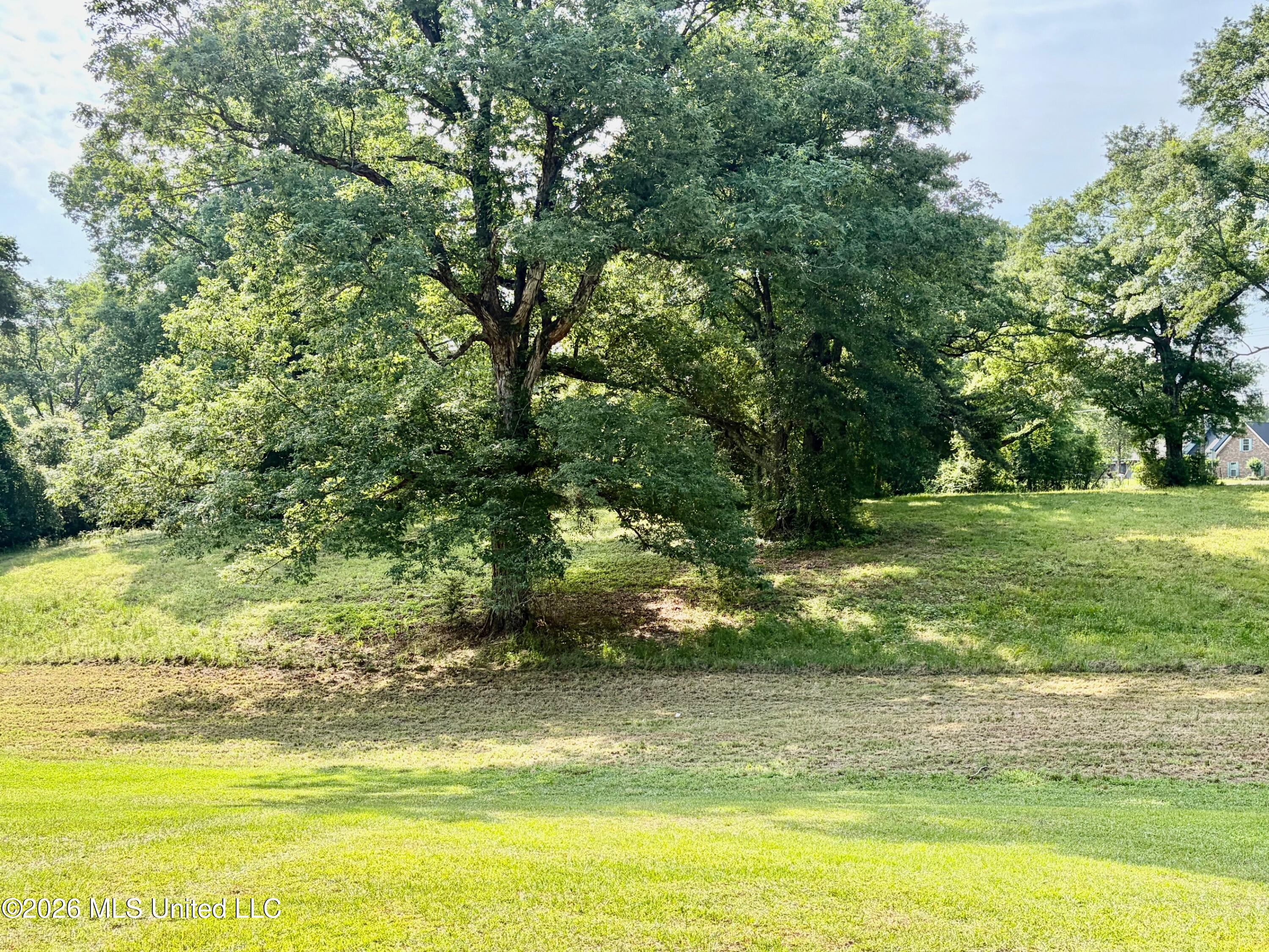 3115 River Ridge Road Summit, MS 39666 - Photo 27 of 29 IMG_0680