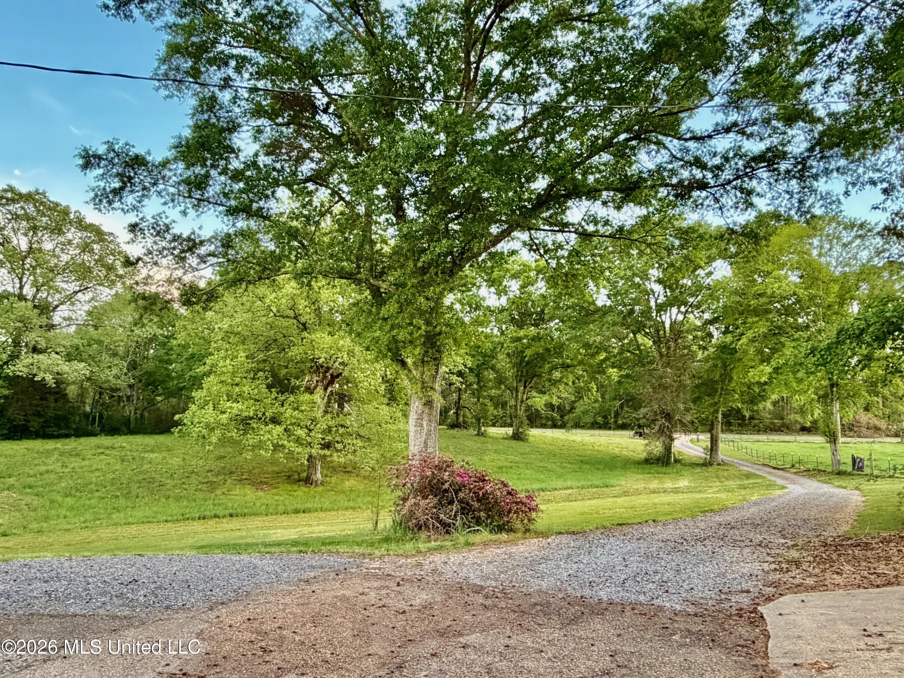 3115 River Ridge Road Summit, MS 39666 - Photo 3 of 29 IMG_0373