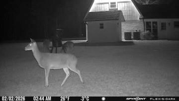 114 Hollow Hill Road Bush, LA 70431 - Photo 45 of 47