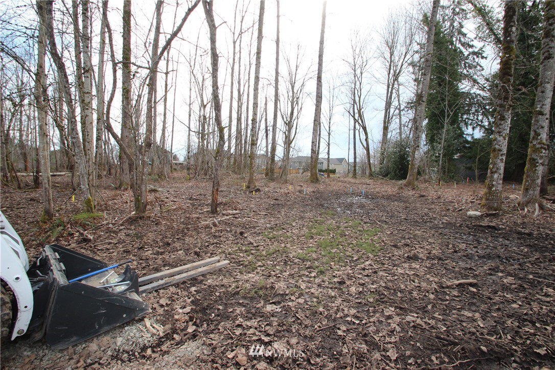 5815 Northeast 8th Street Renton, WA 98059 - Photo 20 of 26 a view of a yard with large trees