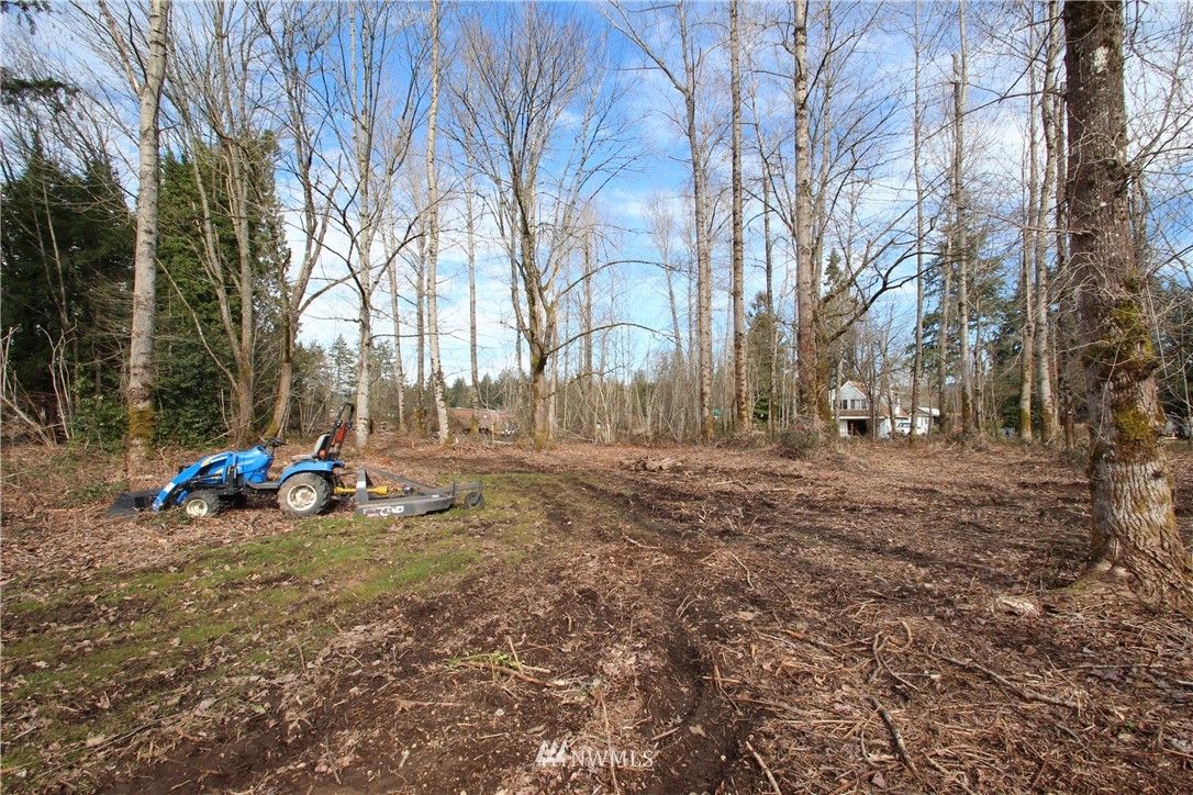 5815 Northeast 8th Street Renton, WA 98059 - Photo 6 of 26 a view of backyard with large trees and wooden fence
