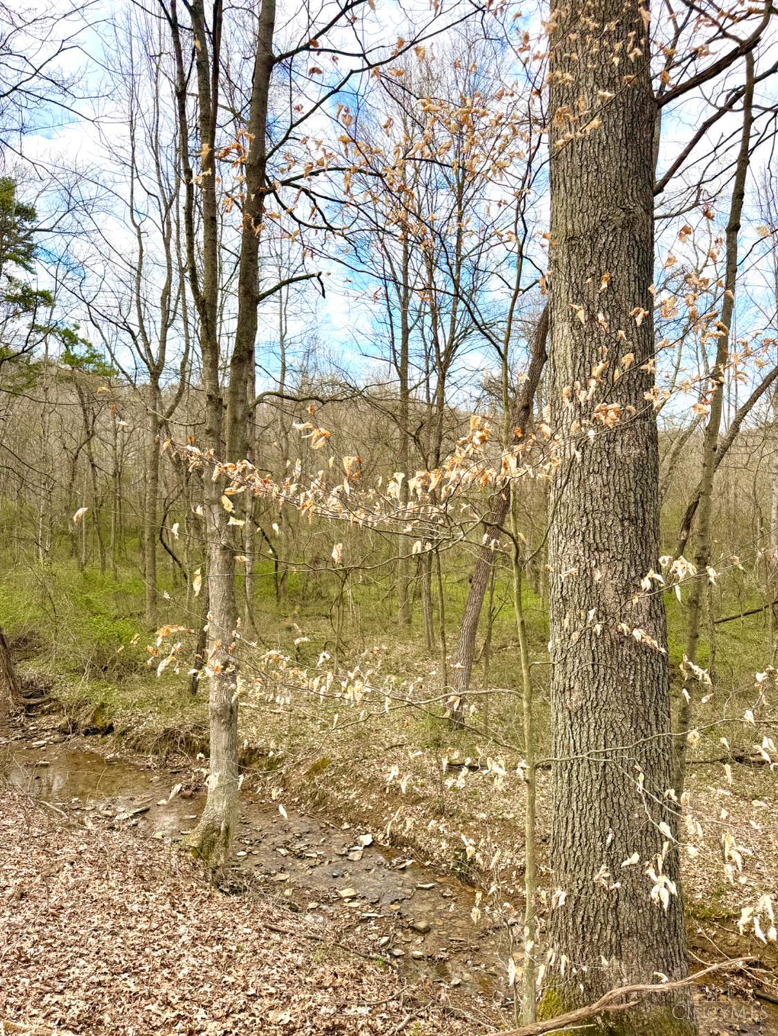 0 Fyffe Hollow Road Chillicothe, OH 45601 - Photo 12 of 96